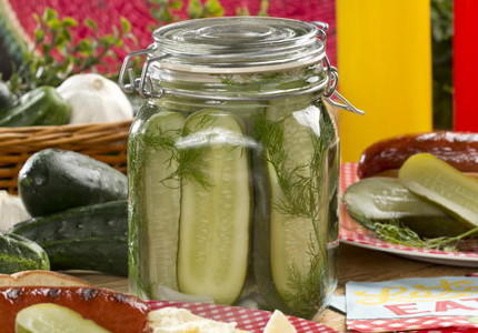 Half Sour Dill Pickles