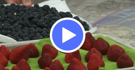 How to Freeze Berries