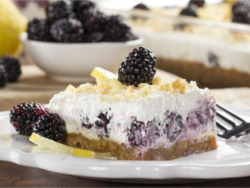 Creamy Crumbly Blackberry Bars