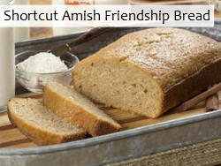 Shortcut Amish Friendship Bread