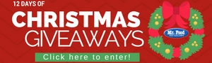 12 Days of Christmas