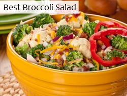 Best Broccoli Salad