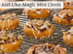 Just-Like-Magic Mini Cinnis